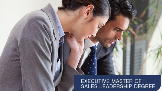 Executive Masters of Sales Leardership (EMSL) Executive Masters of Sales Leardership (EMSL) Program