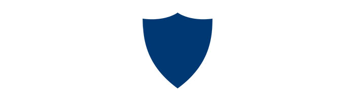 UT shield icon