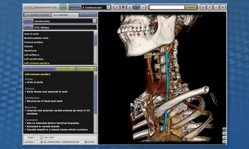 Anatomy & Physiology Revealed