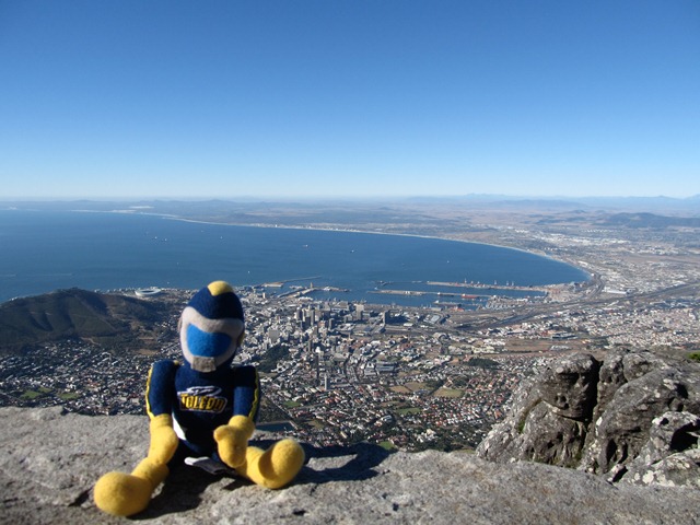 Rocky on a mountain