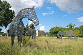 Noble Horse Sculpture