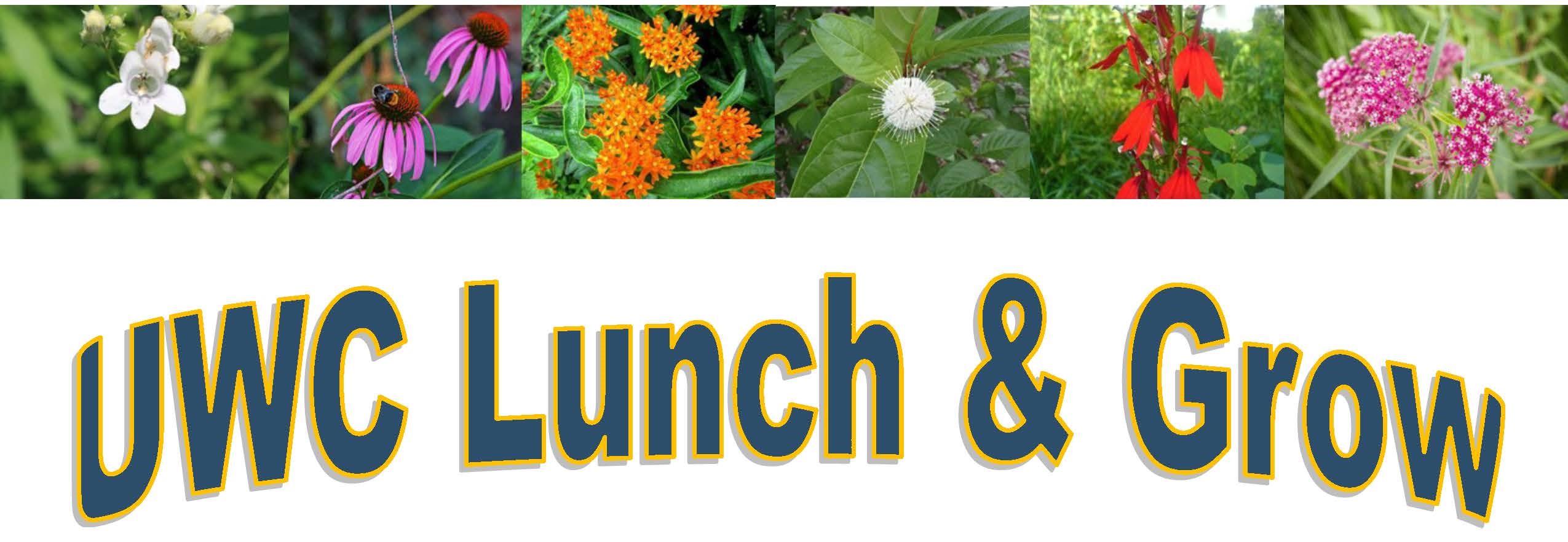 Image of Lunch & Grow