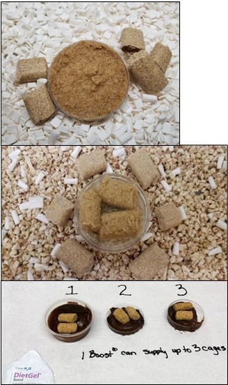 Image of steps 1 and 2 of the mouse weaning instructions