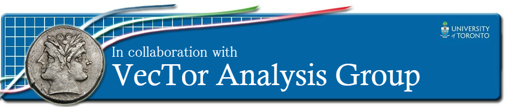 VecTor Analysis Group