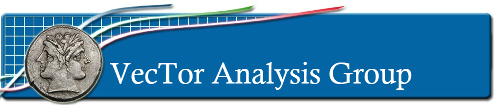 VecTor Analysis Group