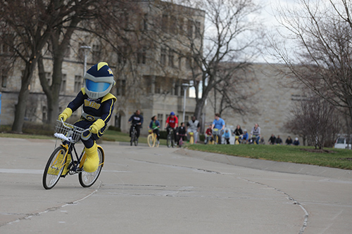 Mascot Rocky riding a bicycle on campus