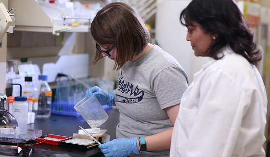 Honors students working in a lab