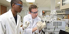 undergraduate research