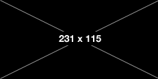 231px
