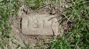 Photograph showing a grave marker with the deceased's patient number instead of name