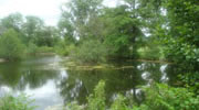 Photograph of an existing lagoon created by former residents of Toledo State Hospital 