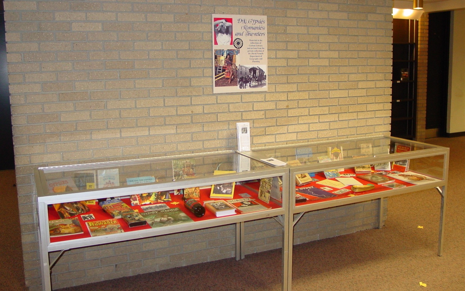 Exhibit Cases at the Carlson Library (2005)