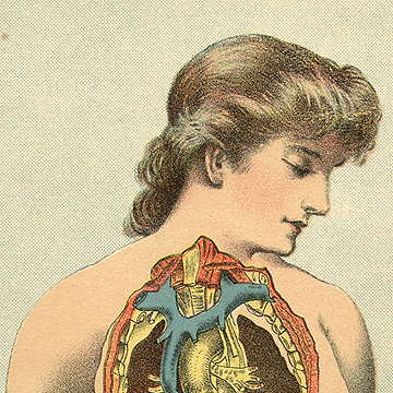 Illustration from The Ladies' New Medical Guide