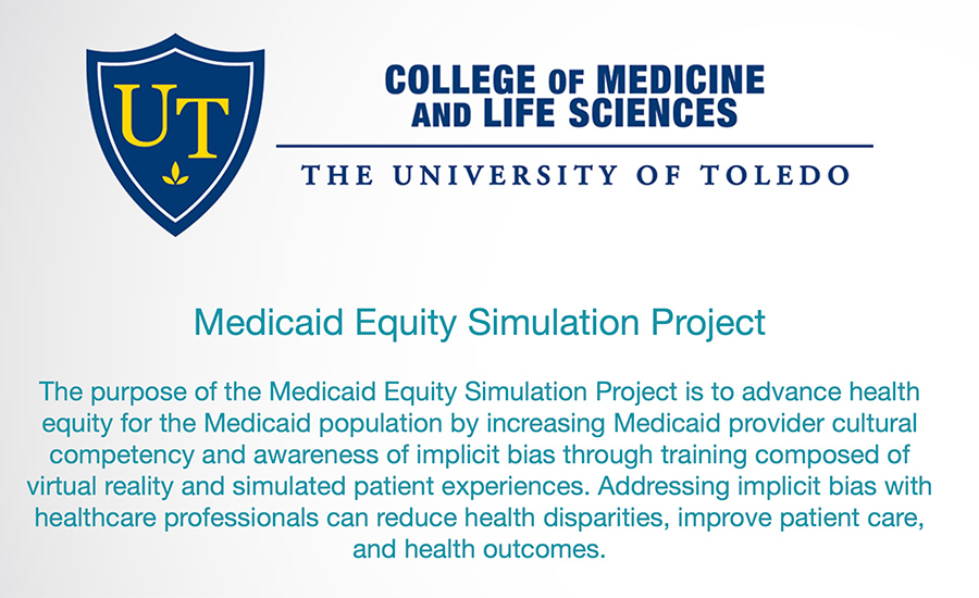 Screenshot of Mediciaid Equity Simulation