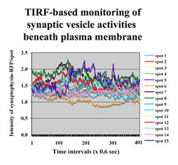 Click on the image to enlarge