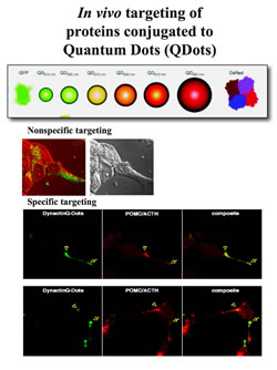 click on the image to enlarge