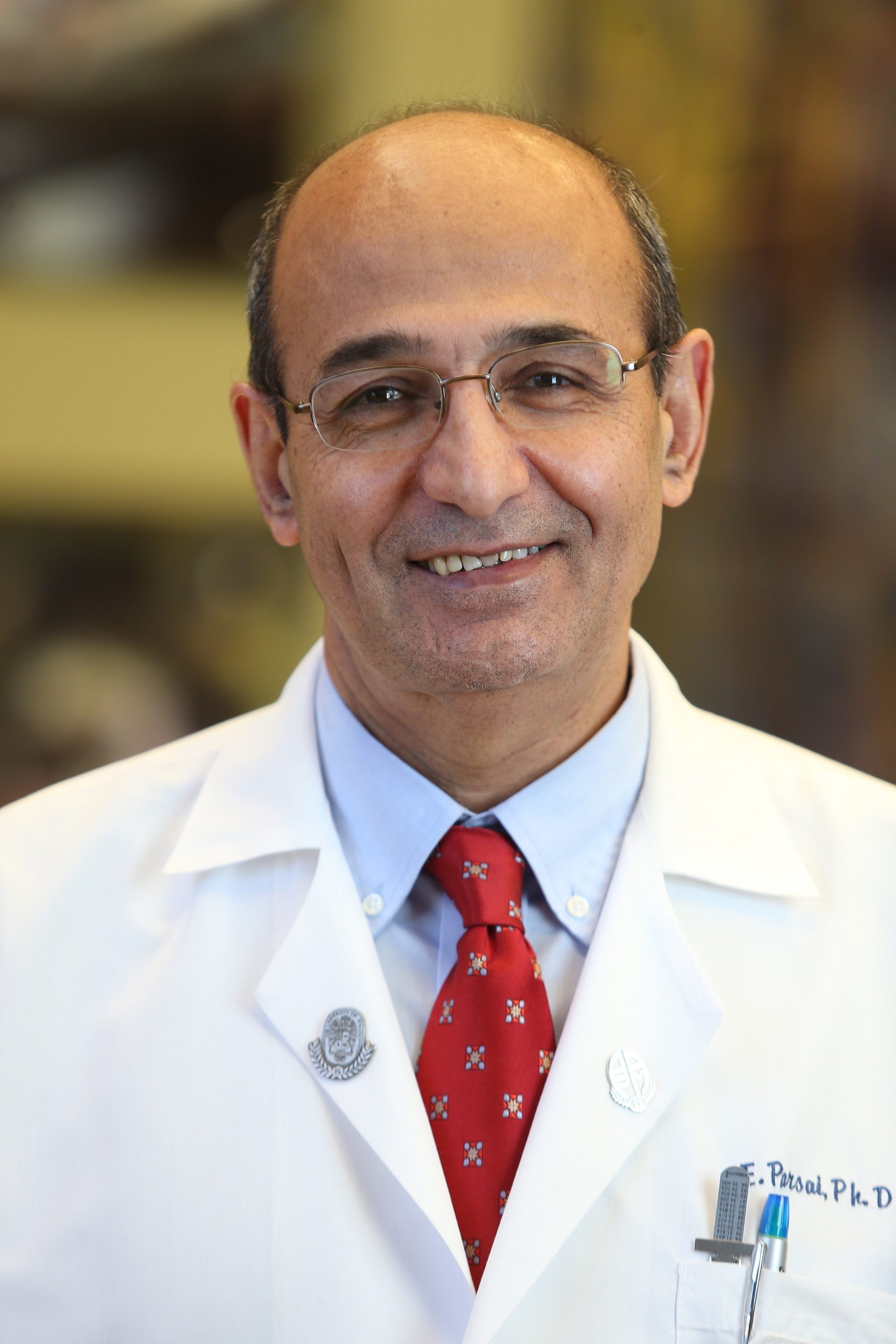 E.I. Parsai