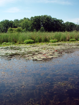 The Huron River
