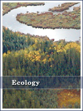 Ecology