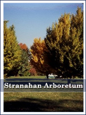 Stranahan Arboretum