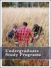 Undergraduate Study Programs