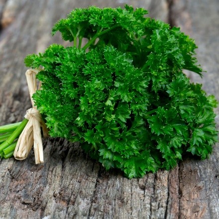 Curled Parsley