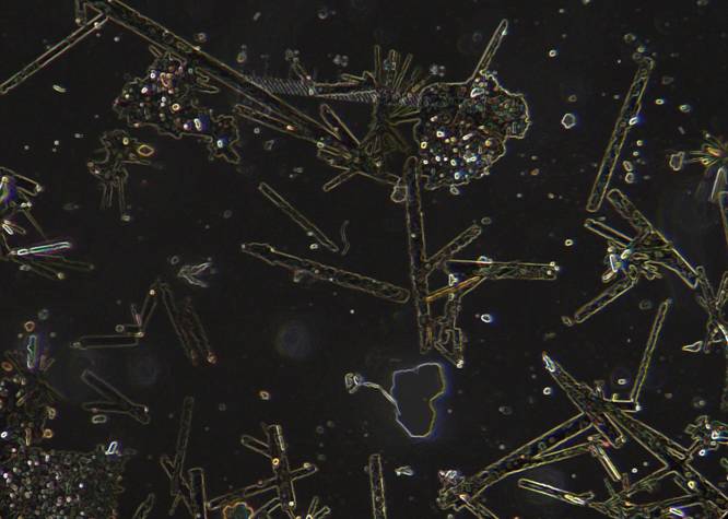 Crystallography