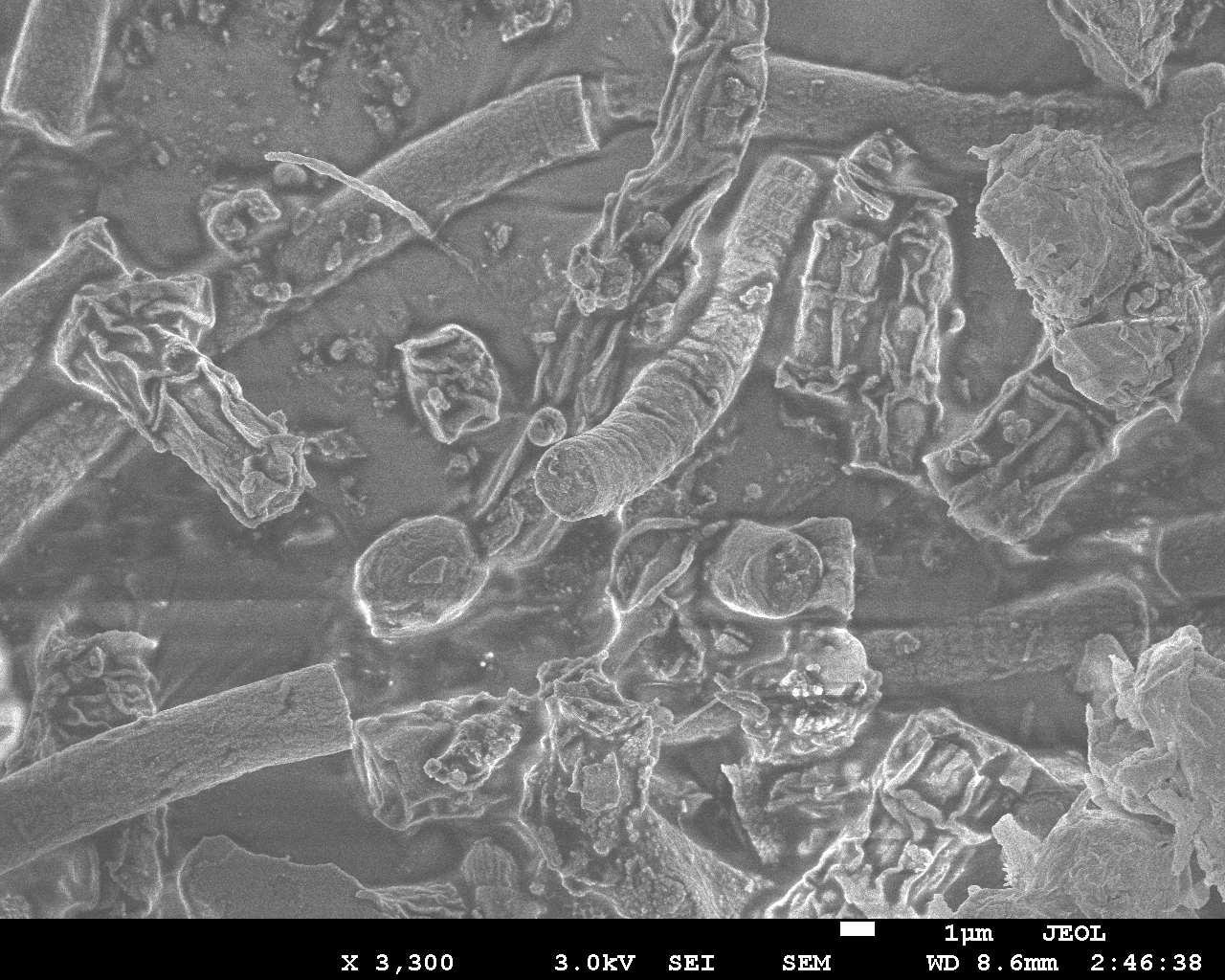 Scanning Electron Microscope Image Database
