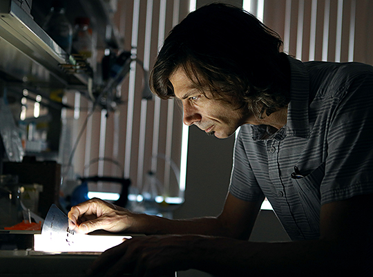 Dr. Garcia-Mata in lab