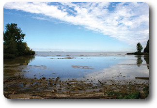 Across the street from the LEC