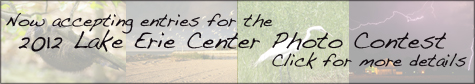 2012 Photo Contest