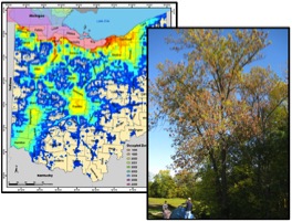 Bossekbroek lab pictures 1
