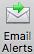 Webforms email alert icon