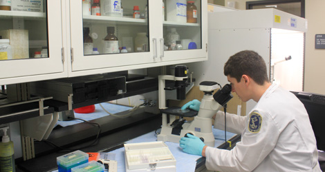 student in lab photo
