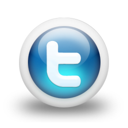 twitter button