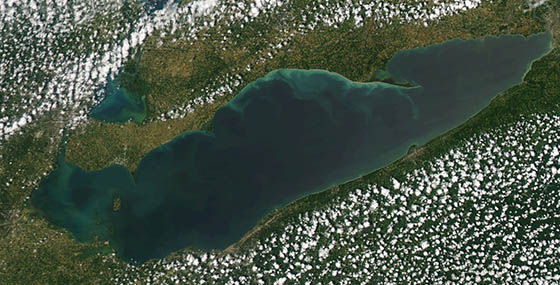 Modis imagery of algal blooms in Lake Erie
