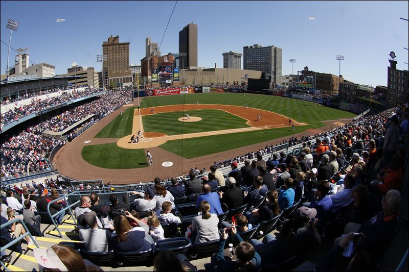 Toledo Mud Hens minor league baseball team.