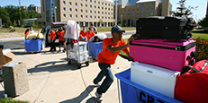 move in day