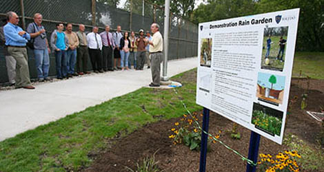 Rain garden