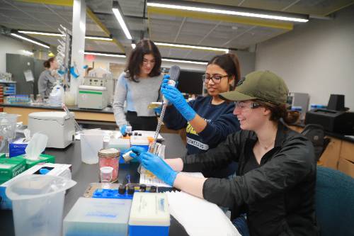 Three students in a classroom doing a lab experiment
