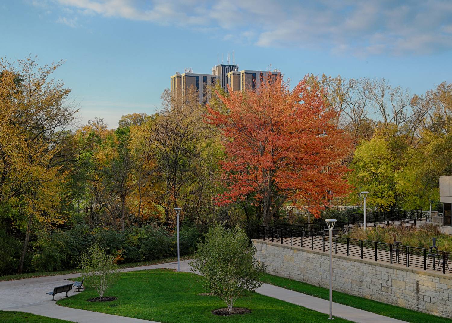 parks tower with fall foliage