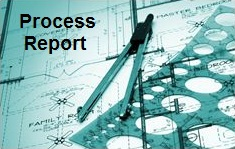 process report