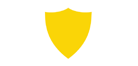 Shield Icon