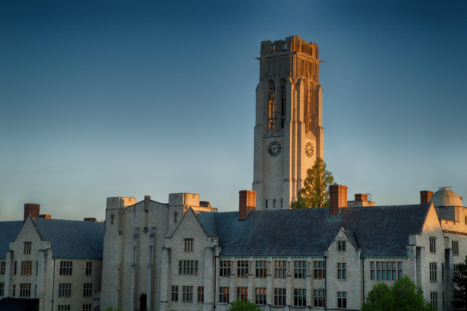 Pursue an M.S.A. Degree at The University of Toledo.