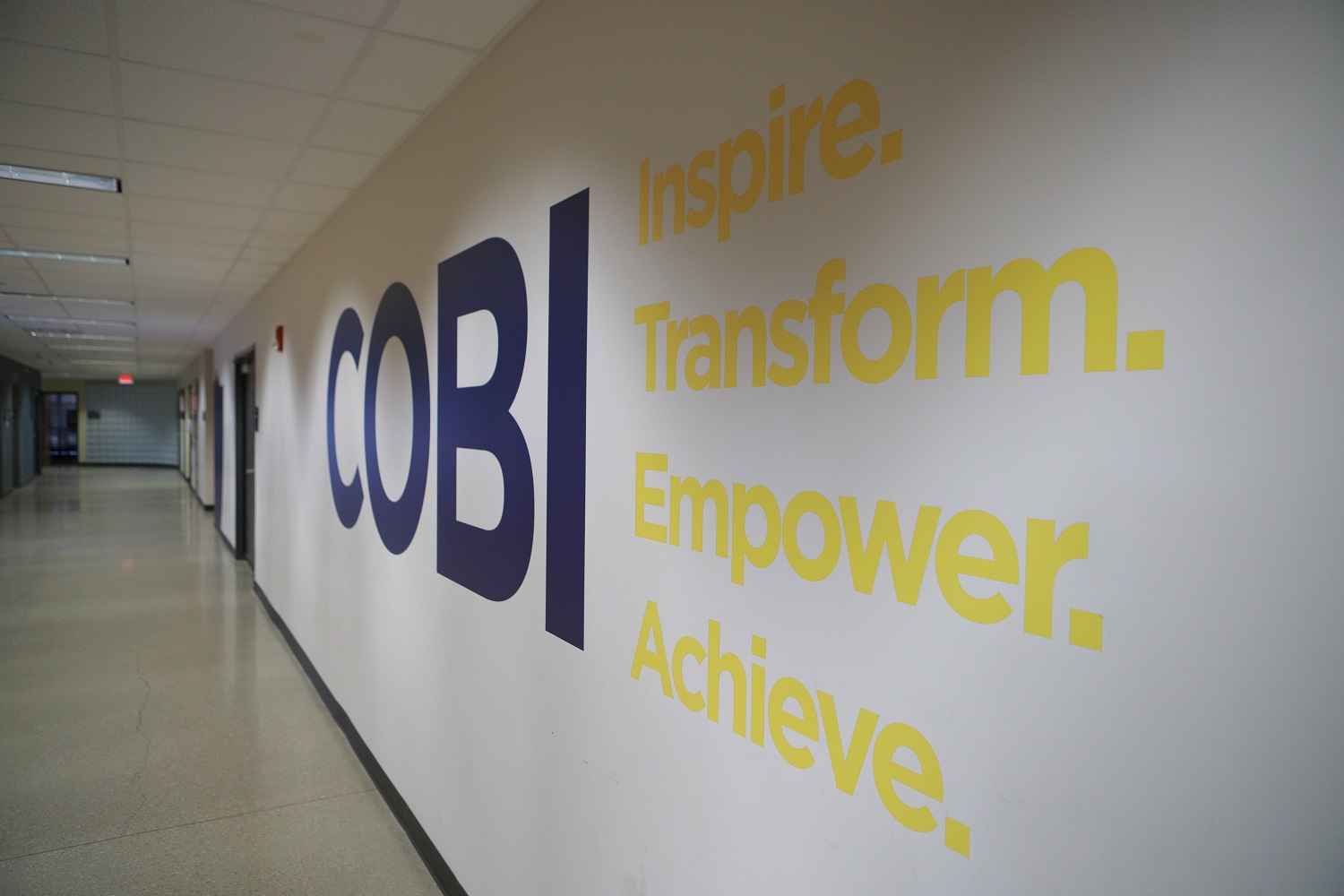 COBI WALL