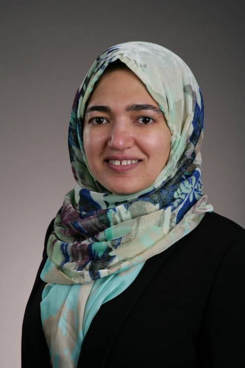 DR. HEBA Y. ABDEL-RAHIM