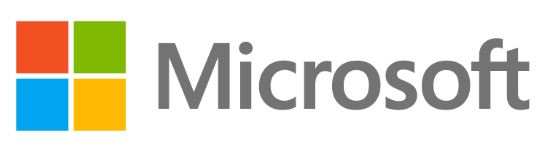 Microsoft icon