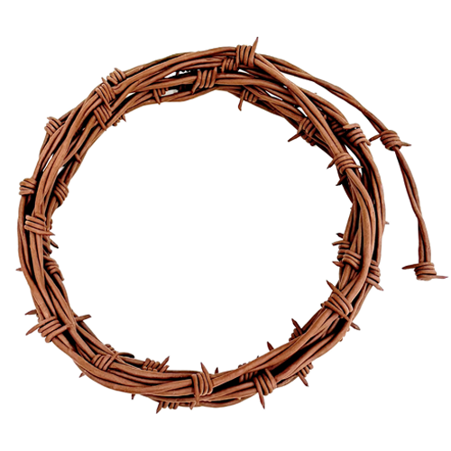 A woven set of branches with no leaves resembling barbed wire