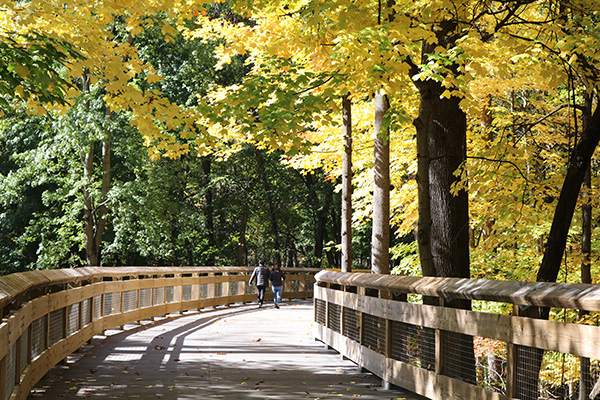 A couple walking on a trail in a Metropark