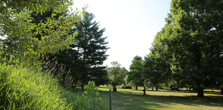 Stranahan Arboretum